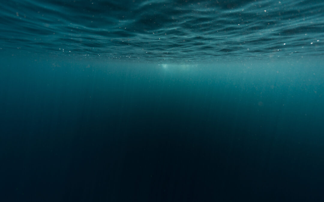 L&rsquo;imagerie 3D sous-marine : une nouvelle approche augmentée pour l&rsquo;inspection