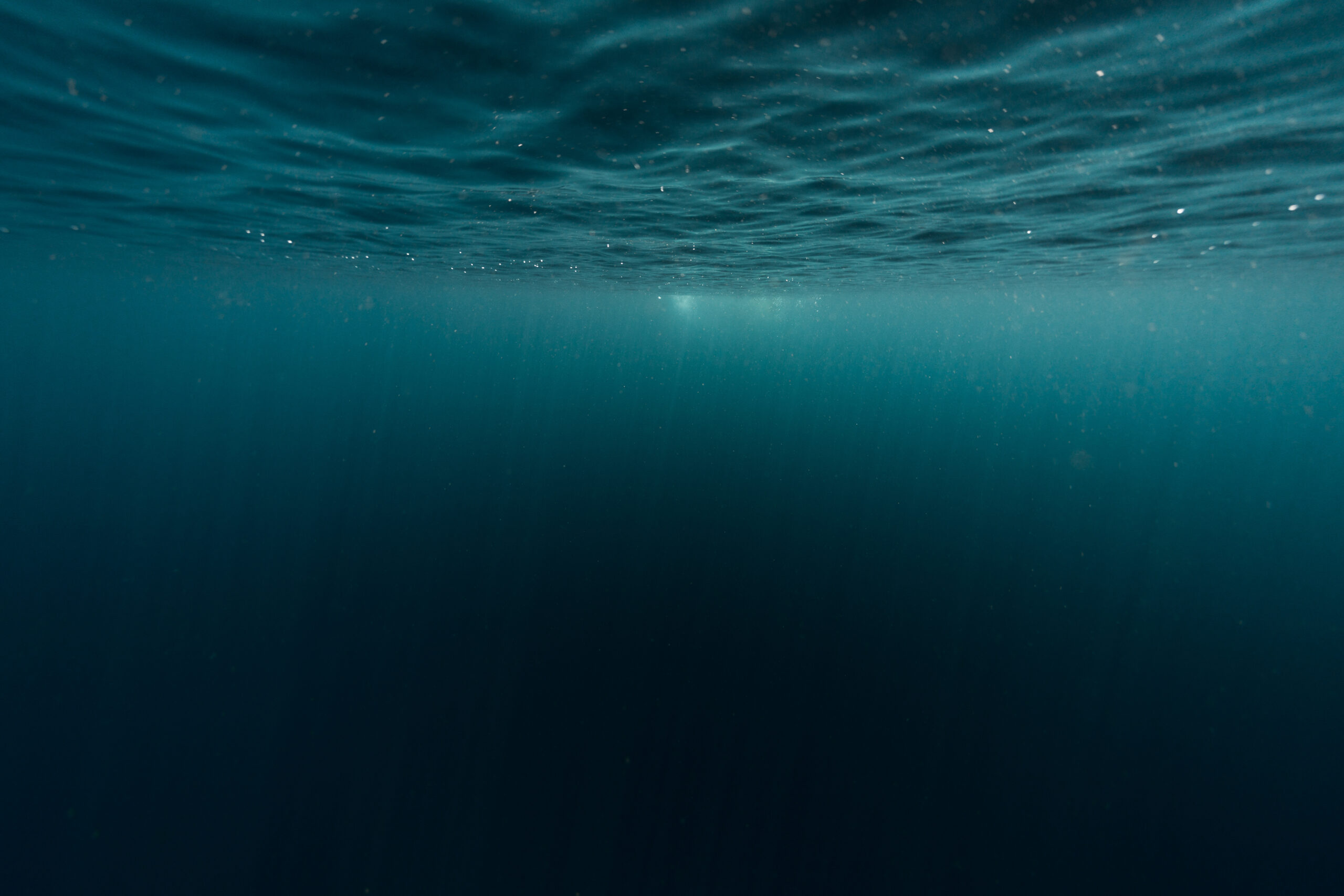 Sea